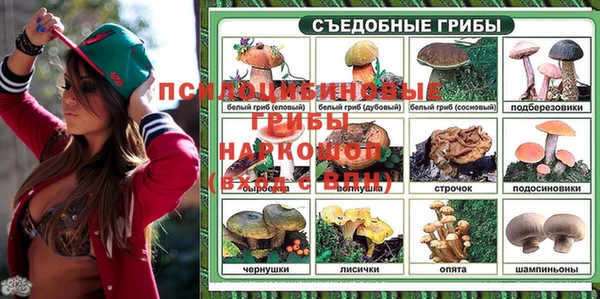 ECSTASY Абдулино