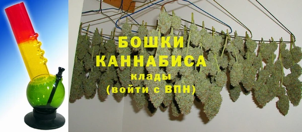 молекула духа Покачи