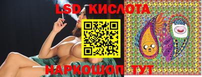 spice Свободный