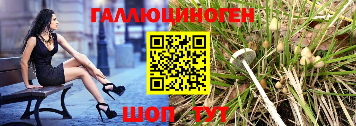 Галлюциногенные грибы мицелий  Галлюциногенные грибы Psilocybe  Североморск  Вход с VPN 