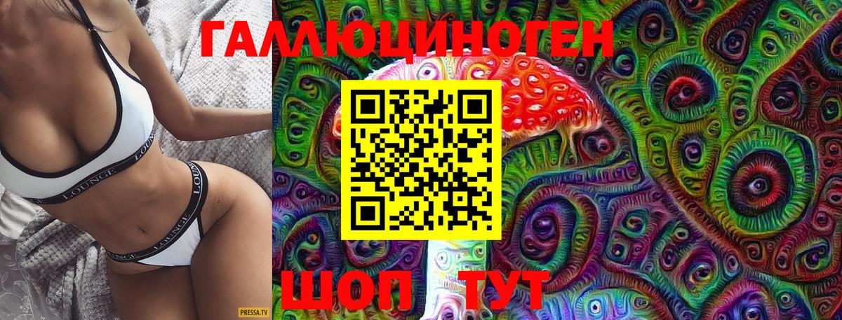 Галлюциногенные грибы Psilocybine cubensis Североморск